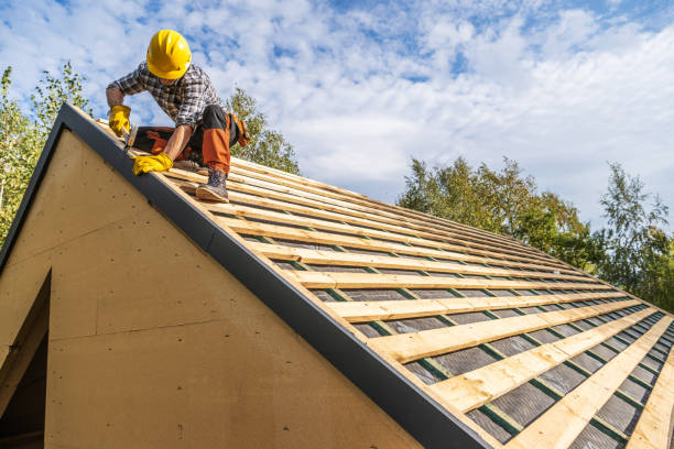 Roof Gutter Cleaning in Riverside, PA